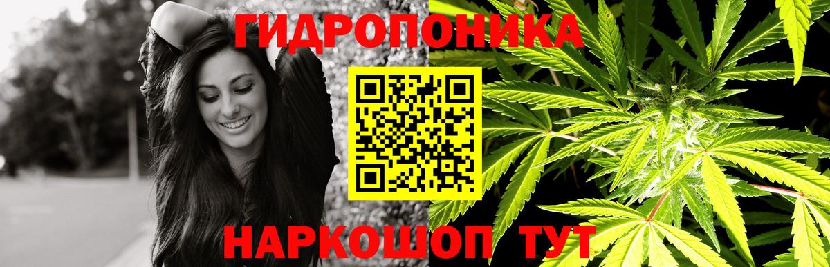 Канабис ГИДРОПОН Кизилюрт